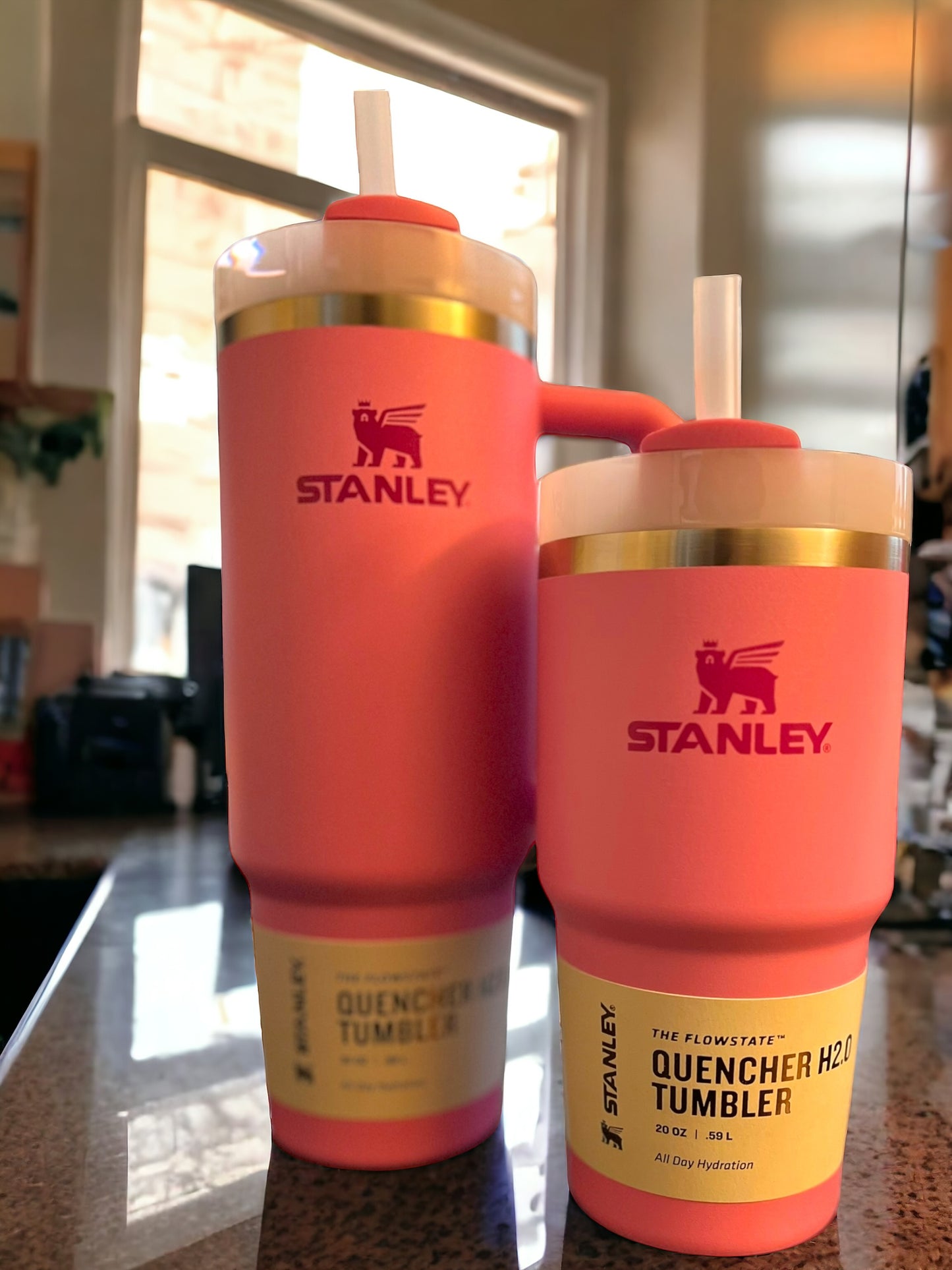 20 oz Engraved Stanleys